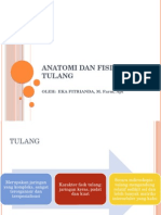 Anatomi Dan Fisiologi Tulang