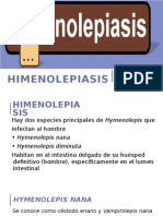 17 Himenolepiasis..