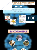 Intoxicacion Por Micotoxinas