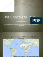 Chocolate Tour