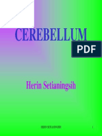 Cerebellum 2010