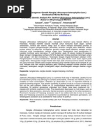 Download 35 Studi Keragaman Genetik Nangka Sulassih by Ryan Nightwalker SN292852473 doc pdf