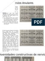 Nervios Anulares