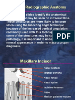 Intra Oral Radiograph Anatomy