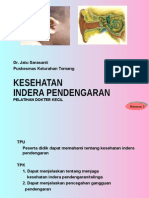 Indera Pendengaran