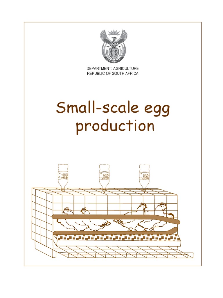 View of Small Scale Egg Production | PDF