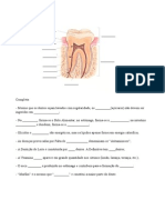 FT - Dentição