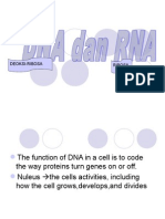 DNA, Nucleic Acid