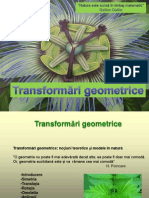 Moise_L_Initiere in Geometria Fractala1_Transformari Geometrice
