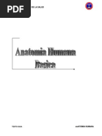 Download Anatomia para preuniversitarios by Edwin Dbc SN292903352 doc pdf