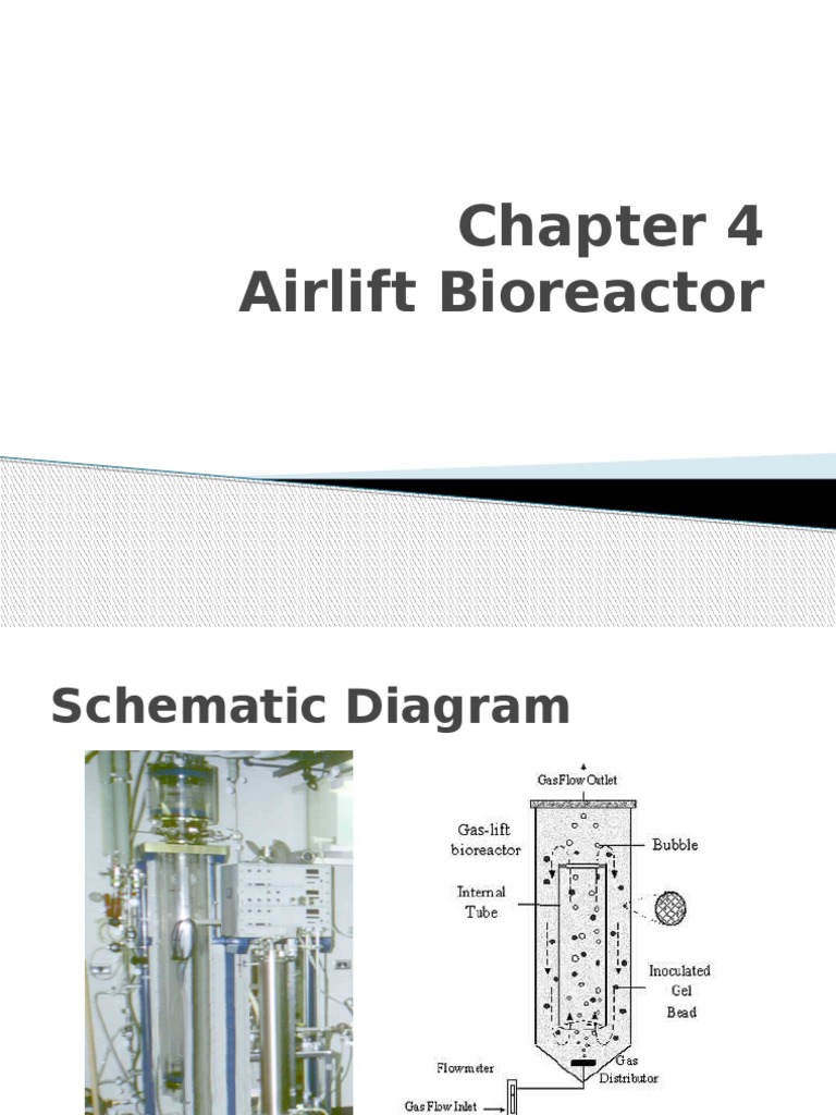 Chapter 4 Airlift Bioreactor PDF Liquids Chemistry