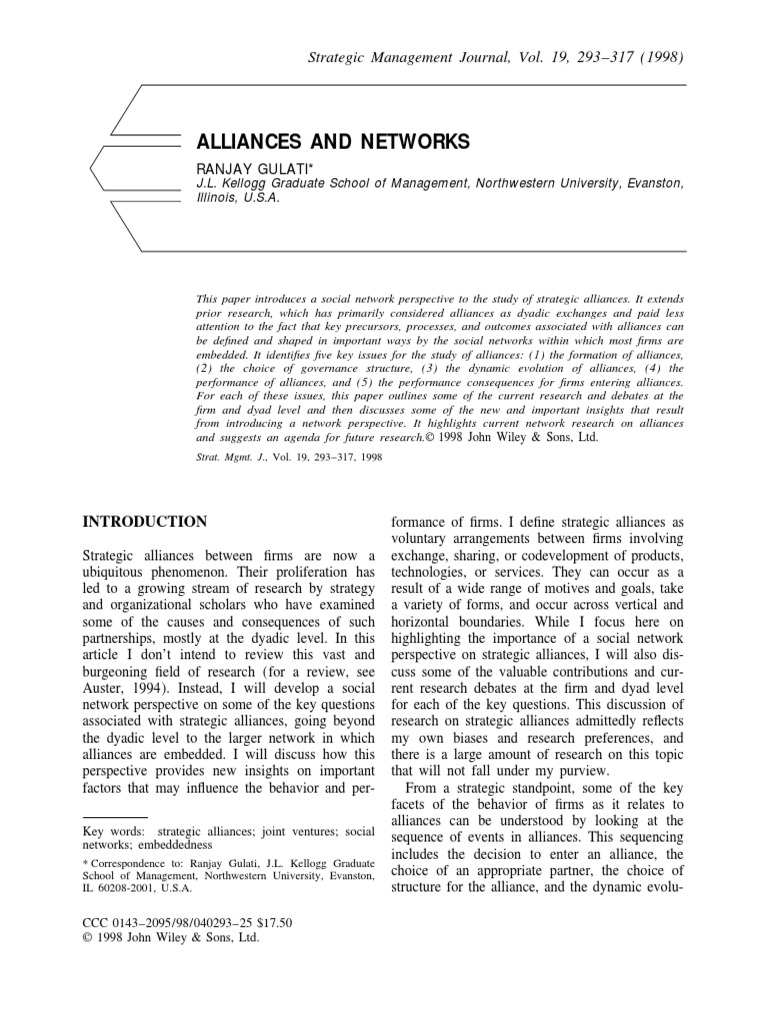 Alliances and Networks PDF Social Network Sociology