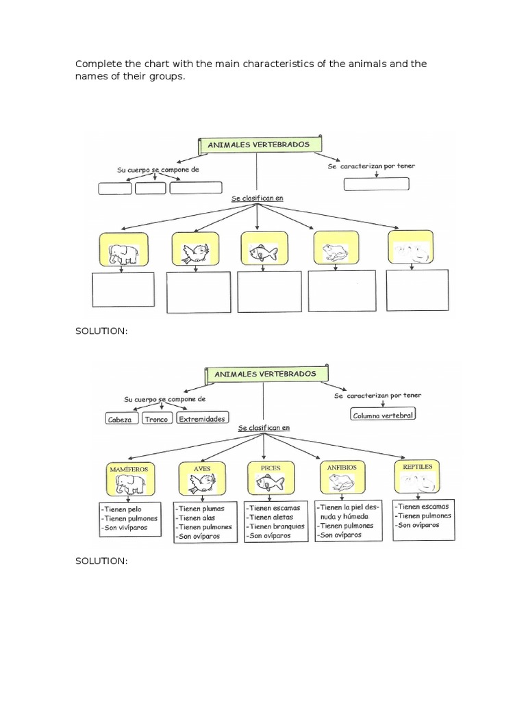 Animal Characteristics Chart | PDF