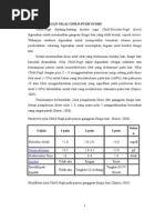 Biofar (Regimen, Perhitungan Dosis Dan Contoh Soal Pada Penyakit Hati)