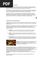 Cadeias alimentares.docx
