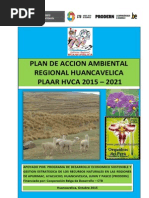 Plaar Hvca 2015-2021 13 Octubre 2015 Final