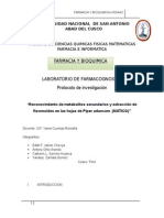 Reconocimiento de Metabolitos Secundarios y Extracción de Flavonoides en Las Hojas de Piper Aduncum (MATICO)