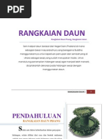 Kumpulan Daun Jarak Dan Manfaatnya Kumpulan Contoh 