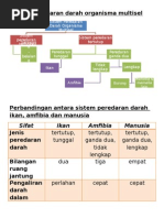 Sistem Peredaran Darah Organisma Multisel