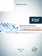 Diretrizes Nacionais Implantacao Estrategia Esus PDF