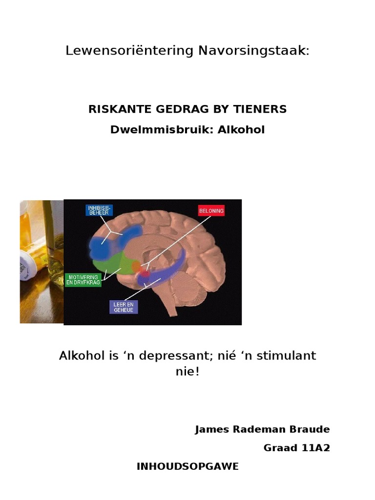 LO Navorsingstaak_Riskante Gedrag by Tieners_Alkohol