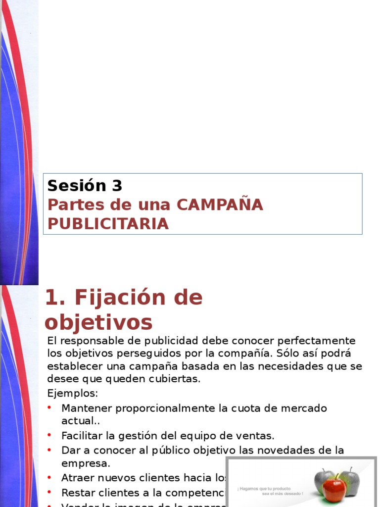 Partes de La Campaña Publicitaria Publicidad Producto