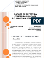 Raport de Expertiza Contabila - Judiciara