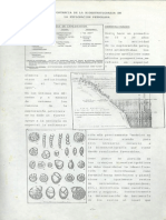 Importancia de La Bioestratigrafia