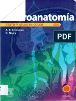 Neuro Anatomia