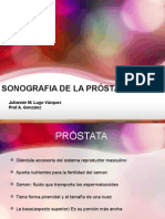 Prostata