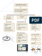 ProcariotasMedios HipotónicosPresentangf