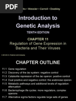 Introduction To Genetic Analysis: Regulation of Gene Expression in Bacteria and Their Viruses