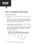 IGA 10e SM Chapter 08