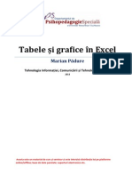 Modulul 2 - TIC-TA - Tabele Si Grafice in MS Excel 2013