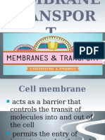 Chapter 3 Membrane Transport