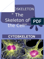 Chapter 5cytoskeleton