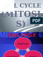 Chapter 15mitosis