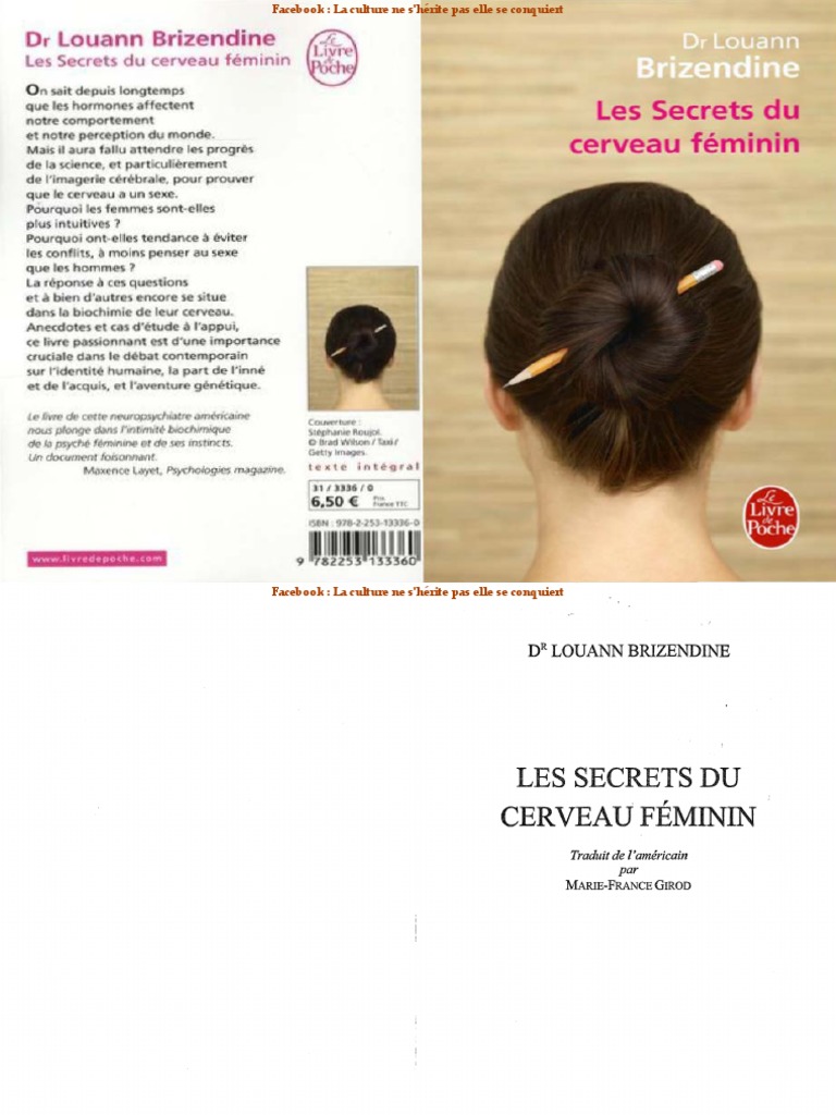 Les Secrets Du Cerveau Feminin PDF Cerveau Testostérone image