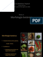 Tema 2. Morfologia de Plantas