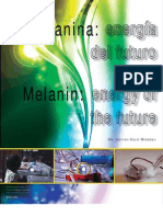 Melanin - Energy of The Future (Herrera 2011)