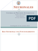 Redes Neuronales