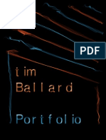Tim Ballard: Portfolio