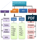 Componentes Quimicos de La Celula