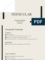 Testicular Clase