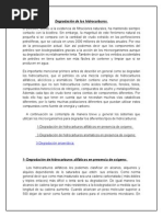 Degradación de Los Hidrocarburos 