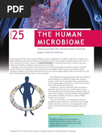 Download 25-Microbiome by Emma Rulnick SN293132072 doc pdf