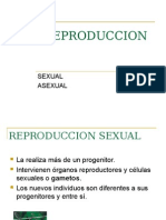 Reproduccion Sexual y Asexual (1)