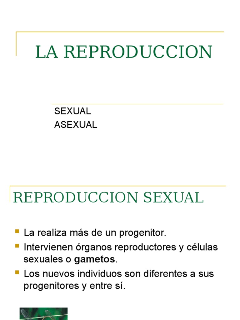Comparativa de Reproducción Sexual y Asexual | PDF | Reproducción | Sexo