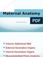 Maternal Anatomy Overview
