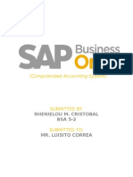 SAP 3.0